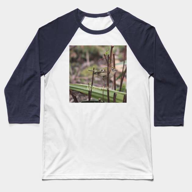 Goldcrest Bird perched on a twig Photograph Baseball T-Shirt by Athene Art